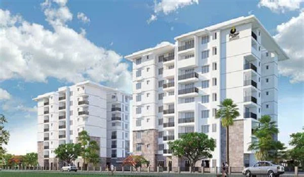 Featured Image Prestige The Artiste